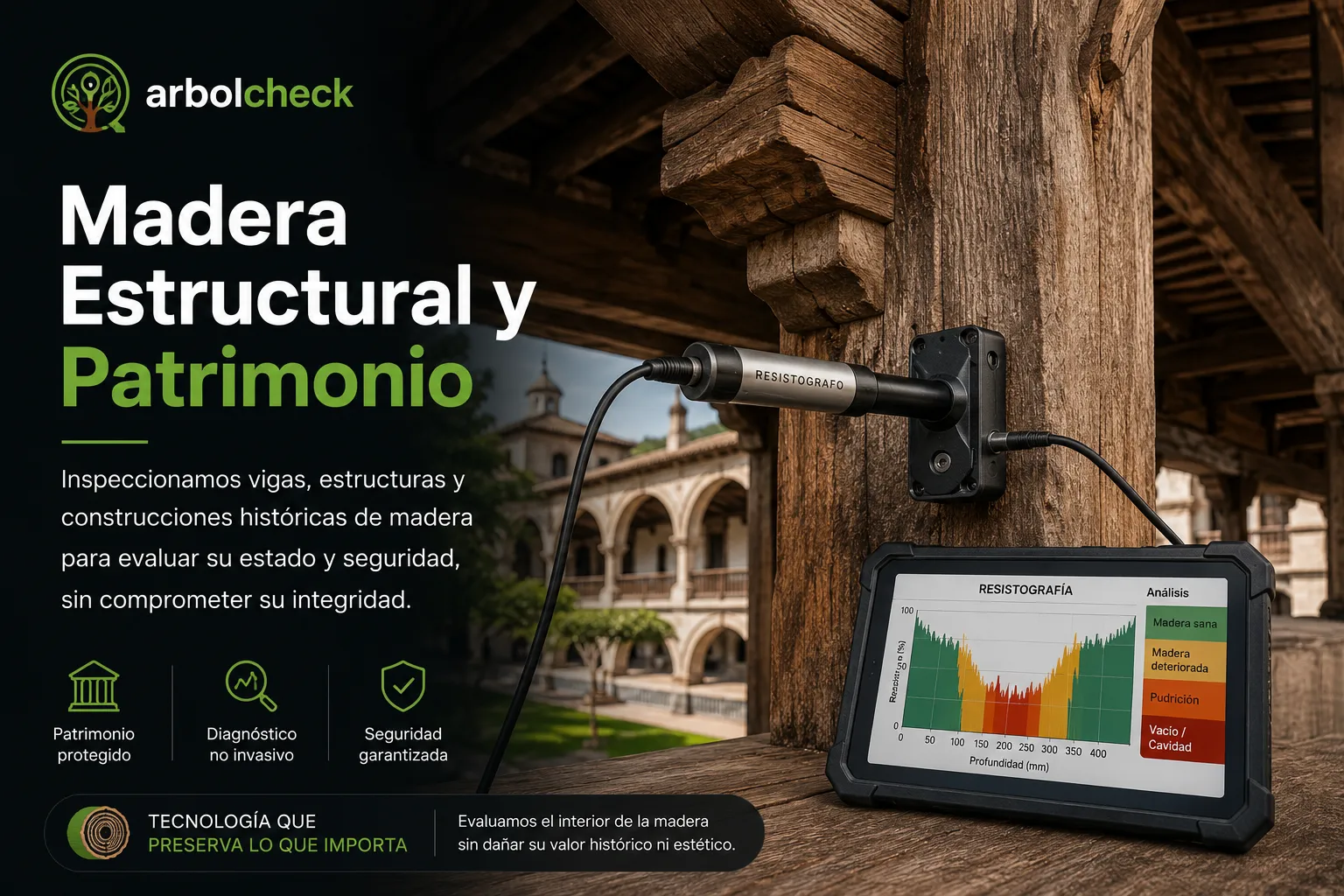 Madera Estructural y Patrimonio ArbolCheck